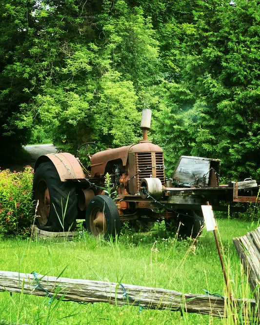 Rusting Relic – Digital Download Photography