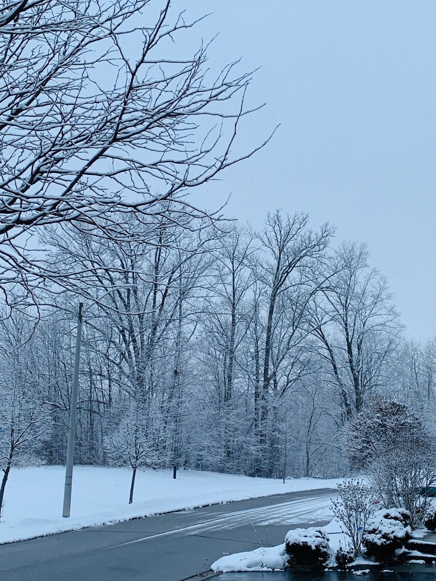 Winter Serenity – Fine Art Photography Print