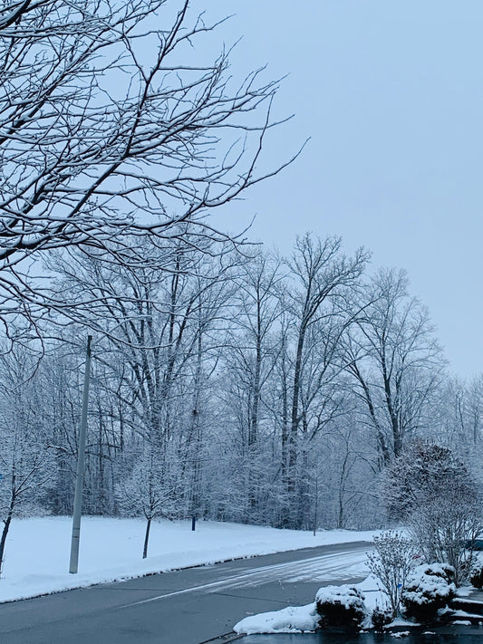 Winter Serenity – Fine Art Photography Print